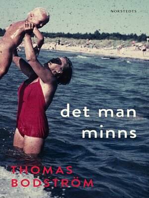 cover image of Det man minns